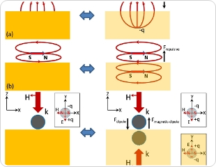 News: Looking Through the Mirror: Optical Microcavities Show Strong Interaction with Conductive Surface