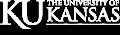Professor, Hui Zhao, and Lalani Werake, a graduate student at the University of Kansas have discovered a new method to identify the currents of spinning electrons in a semiconductor with the use of lasers.
