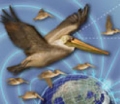 Optics News: A team of researchers at Arizona State University and the University of Oxford are the first to model a photochemical compass that may simulate how migrating birds use light and Earth's weak magnetic field to navigate.