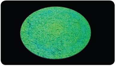 3D optical image of a master pin.