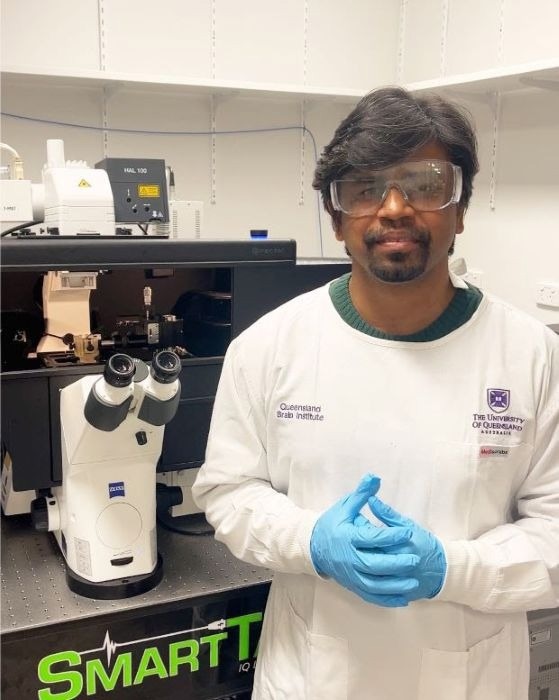 New Ultrasound Imaging to Map Drug - ImageForNews 30417 17522928392909434