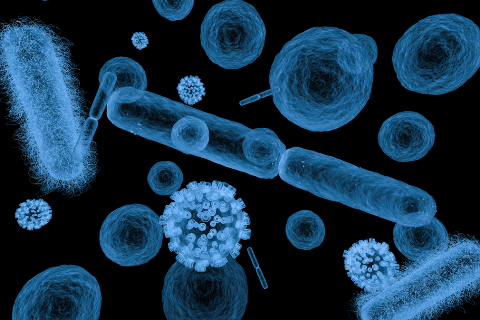 ImageForArticle_100_15833142719665075.png
