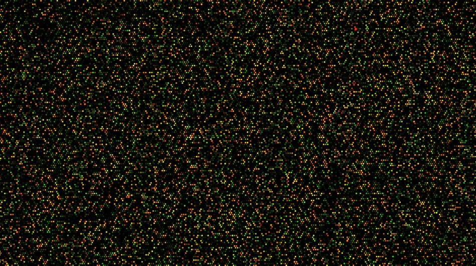 Fluorescence analysis of a DNA microarray. As well as SSL analysis the Rhea can also be used to analyze biofluorescence. Andre Nantel | Shutterstock
