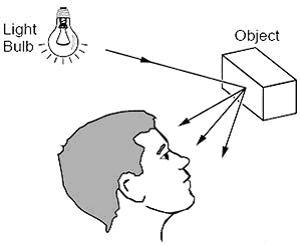 Light reflected from objects