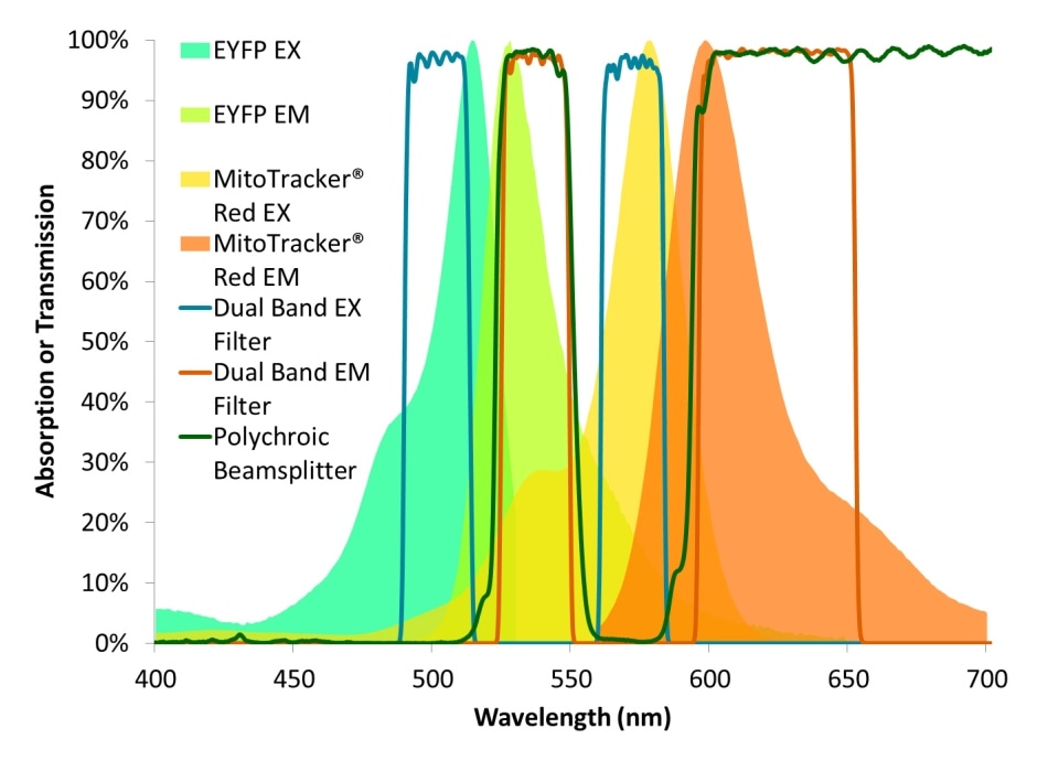 Excitation and emission spectra for both EYFP and MitoTracker® Red overlaid with the transmission spectra of a dual-band filter set designed for these fluorophores.