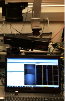 BeamWatch®, noncontact, focus spot size and position monitor.