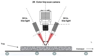line scan cameras