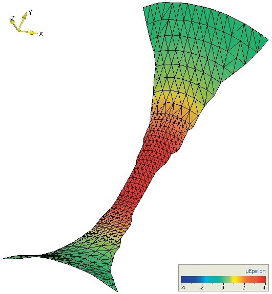 Strain distribution.