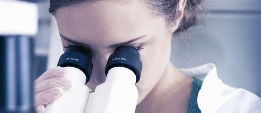 The Benefits of Piezo Technology in Super-Resolution Microscopy