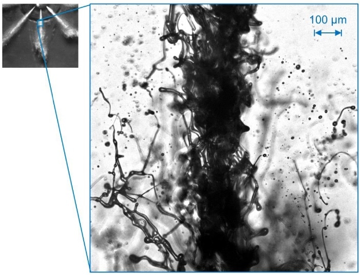 New Double-Pulse Backlight Microscope