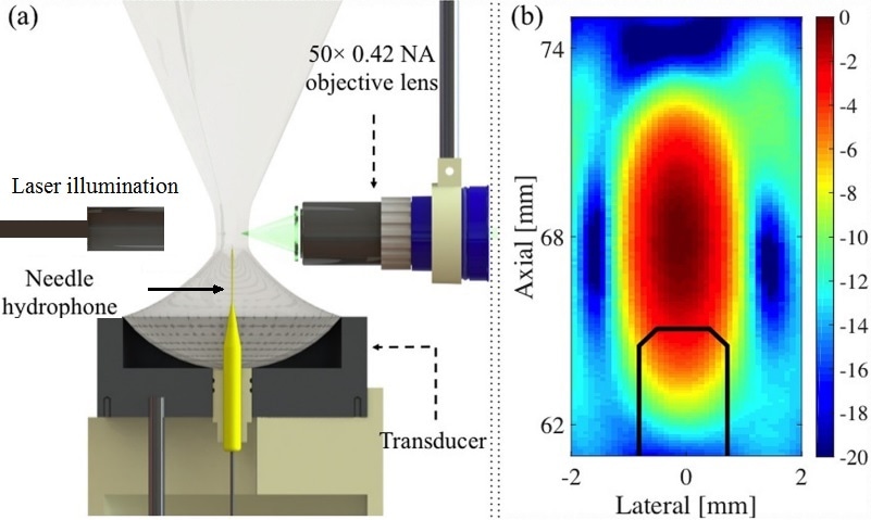 Illustration of experimental setup: (a) cross-sectional side view, and (b) an axial scan of the HIFU focal region, with representations of the NH outlined for “emission collection”