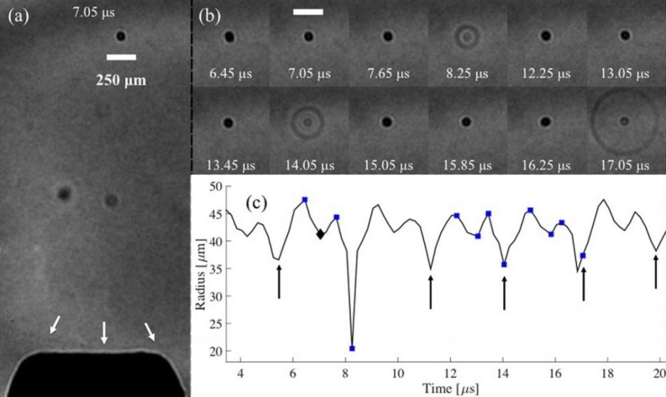 Images extracted from a high-speed sequence recorded at 5 mio fps, of cavitation activity in the f0/2 regime. (a) The whole field of view, depicting the NH tip position relative to the activity, with a shock wave (arrowed white) incident to it. (b) Selected images representing the cavitation oscillation dynamics, including three strong collapses, and coincident shock wave emission. The entire image sequence is available, in movie format, as supplementary material. (c) Radius-time curve based on a dark pixel counting algorithm, for the time interval under investigation. Diamond and squares indicate the specific images represented in (a) and (b), respectively. Scale bar represents 250 µm.