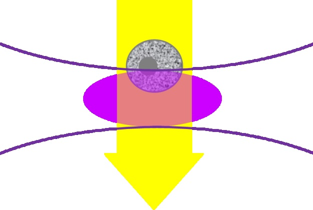 Illustration of the focused laser beam (lavender oval) interacting with the sample in the flow cytometer. The grey cell is moving down through the laser focus.