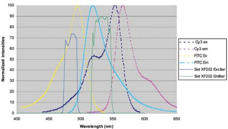 Filters for Fluorescence In Situ Hybridization (FISH) Imaging