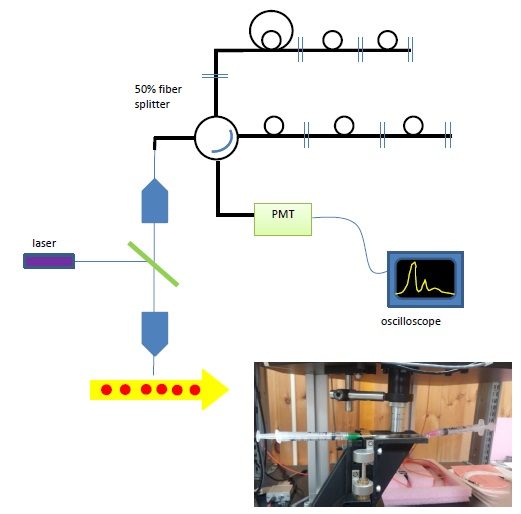 (top) Schematic of Single-point measurements, (inset) photo of the flow cell installed on the stage.
