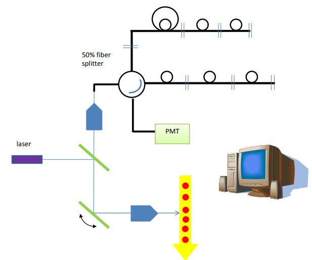 In imaging mode, a single x-mirror can be used to raster across the cells while detecting in the back-scatter direction