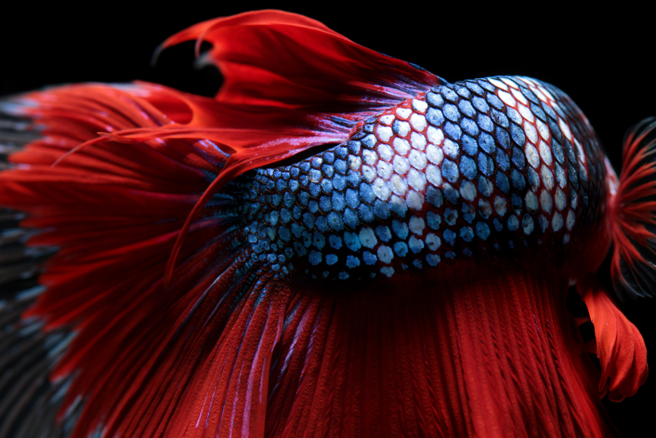 ImageForArticle_1749_15814146565587417.png