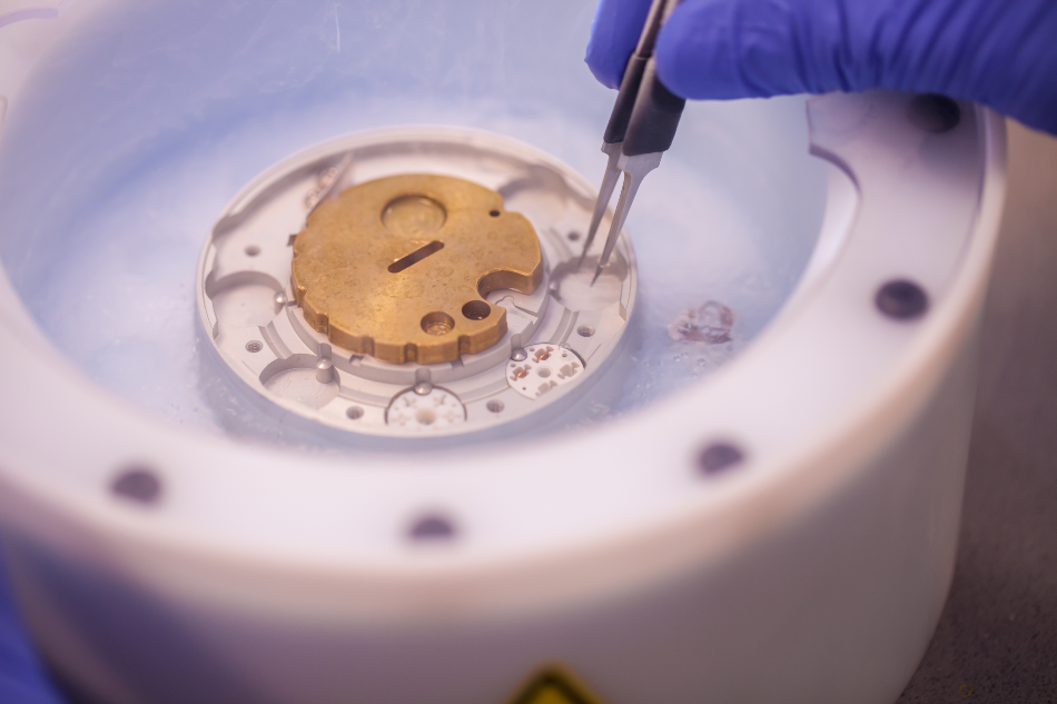 Preparing cryo-electron microscopy grid sample in liquid nitrogen with protective gloves