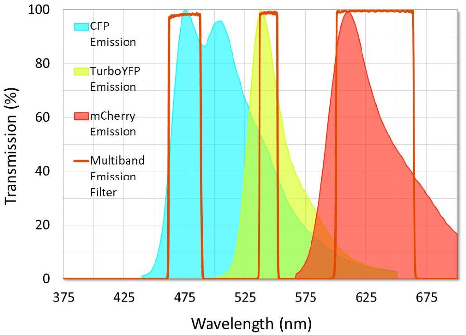Example of a multiband emission filter that was designed to minimize crosstalk between fluorophores. Note that crosstalk in the second channel is unavoidable because of the emission spectra overlap between CFP and TurboYFP. I