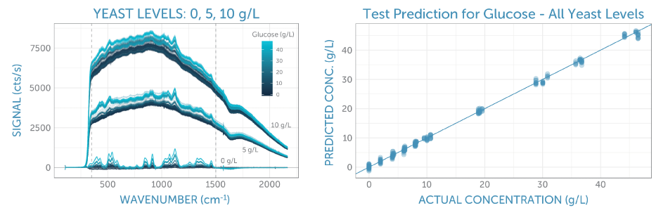 (a) Calibration spectra with varying glucose concentrations (as indicated by the color) at three levels of yeast (leading to different fluorescence backgrounds). The spectral region used for analysis is indicated by the two vertical dashed lines. (b) Final calibration applied to the test set. The resulting prediction error (as RMSEP) is 0.7 g/L, independent of the presence of yeast in the sample.