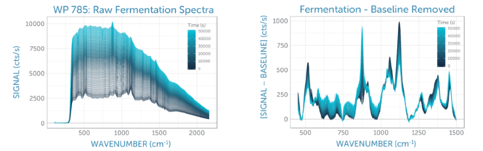 (a) Raman spectra recorded during glucose fermentation over 14 hours, with time indicated by the color. (b) Baseline-corrected Raman spectra recorded during glucose fermentation over 14 hours, with time indicated by the color. In both cases, the glucose peaks at around 1100 cm-1 decrease over time, while the ethanol peak at about 900 cm-1 and the overall yeast background grow, consistent with expectations for the fermentation process.