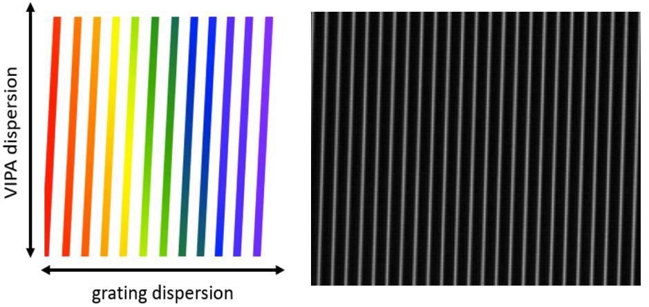 Left: Schematic of the display seen at the spectrometer sensor when the crossed etalon (or VIPA) and grating are illuminated with broadband (“white”) light. The vertical stripes are spaced by one etalon FSR in the horizontal direction. In the chart, red represents longer wavelengths; blue shorter wavelengths. A typical screen shot from the sensor is shown on the right. Only a small portion of the full sensor is shown, covering 23 FSRs of the etalon horizontally, and 0.5 FSR vertically.