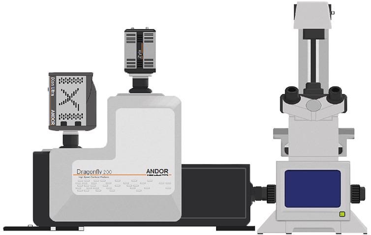 Schematic of Andor’s Dragonfly spinning disk system attached to an epifluorescence microscope.