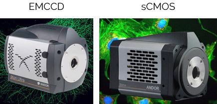 Image of iXon Ultra 888 EMCCD and Sona 4.2B-6 sCMOS.