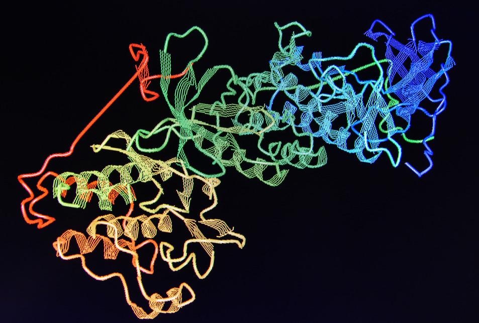 protein structure