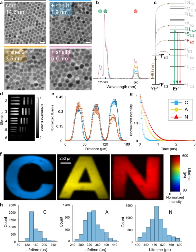 Quantification of the performance of the SPLIT system. (a) Images of core/shell UCNPs acquired with a transmission electron microscope. Scale bar: 25 nm. (b) Normalized upconversion spectra of UCNPs are shown in (a). (c) Simplified energy level diagram of Yb3+-Er3+ energy transfer upconversion excitation and emission. (d) Temporally projected image of photoluminescence intensity decay of the 5.6 nm-thick-shell UCNPs covered by a negative resolution target. (e) Comparison of averaged light fluence distribution along the horizontal bars (blue) and vertical bars (orange) of Element 5 in Group 4 on the resolution target. Error bar: standard deviation. (f) Lifetime images of UCNPs with shell thicknesses of 1.9, 3.5, and 5.6 nm covered by transparencies of letters “C”, “A”, and “N” in green emission. (g) Time-lapse averaged emission intensities of the samples. (h) Histograms of photoluminescence lifetimes in the letters shown in (f).