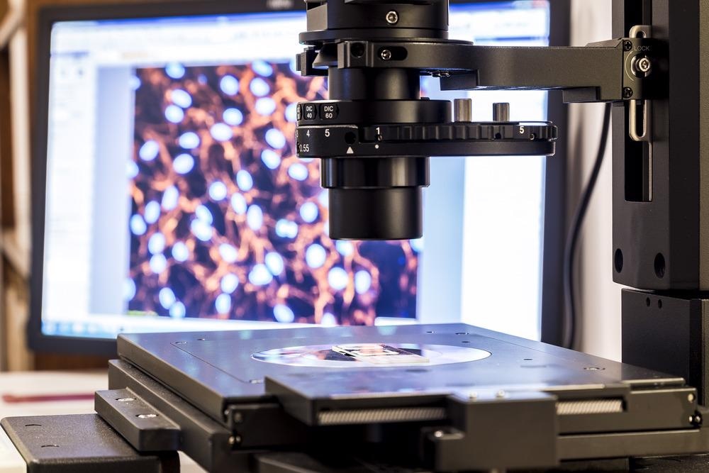 atomic force microscopy