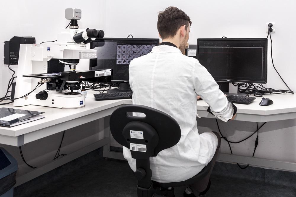 atomic force microscopy