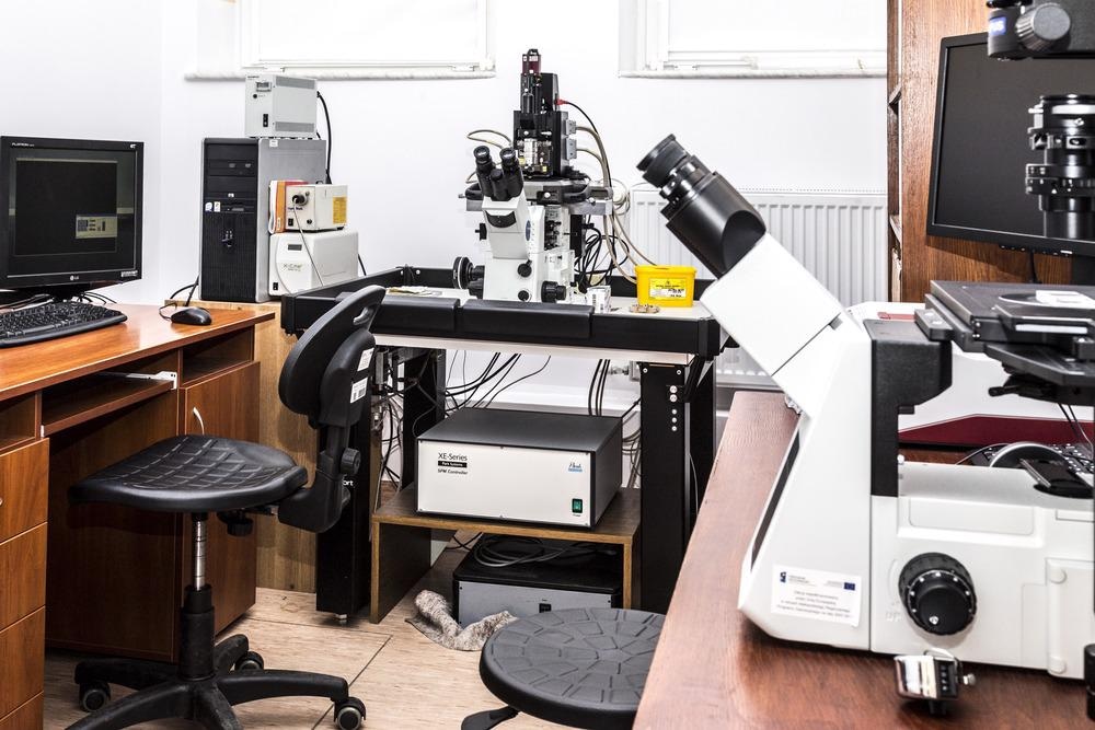 AFM, atomic force microscopy,