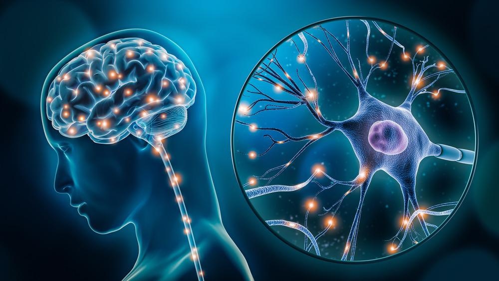 brain, parkinson
