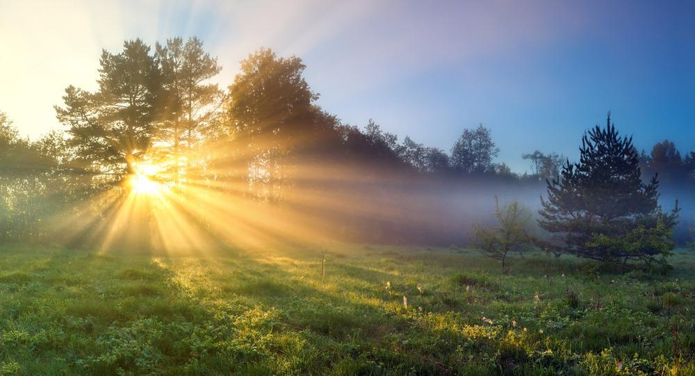 sunlight, clean energy