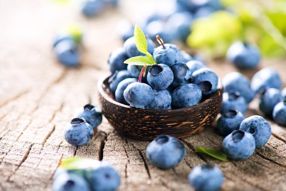 blueberries, food, microscopy