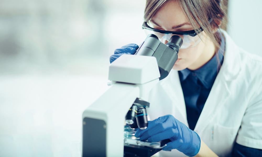 histology, microscope