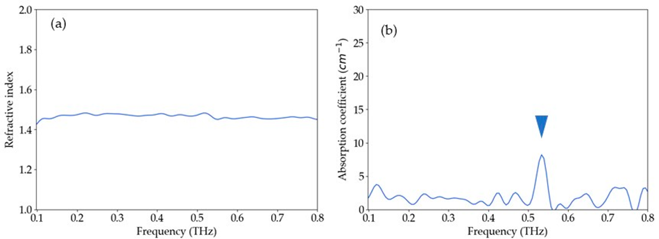 (a) The refractive index and (b) the absorption coefficient of the packaged sample. The absorption peak at 0.53 THz is clearly visible, as shown by the arrowhead. Since the penetration depth of the evanescent wave is smaller than the thickness of the plastic bag at high frequencies, the absorption features of the lactose sample at high frequency cannot be measured reliably. Therefore, the absorption coefficient is shown up to 0.8 THz.