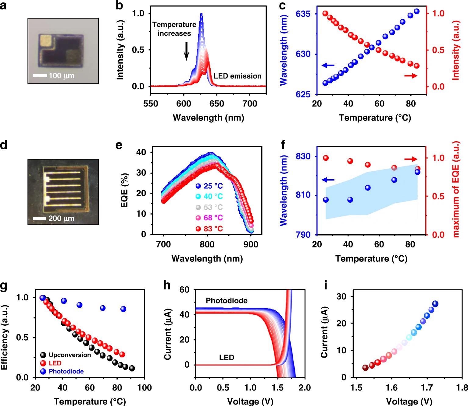 Thermal behaviors of individual InGaP LED and GaAs photodiode. a Micrograph of an InGaP LED. b Electroluminescence (EL) spectra of the InGaP LED at varied temperatures (25–90?°C), with an injected forward current of 20?µA. c EL intensity changes (red dots) and peak wavelength shifts (blue dots) for the InGaP LED at different temperatures. d Micrograph of a double junction GaAs photodiode. e External quantum efficiency (EQE) spectra of the GaAs photodiode at different temperatures. f Peak absorption intensity changes (red dot) and peak wavelength shifts (blue dot) of the GaAs photodiode at different temperatures. The shaded blue region is the wavelength range where the absorption intensity is above 98% of the peak. g Summary of efficiency results, including PL of the upconversion device, EL of the LED, and EQE of the photodiode at varied temperatures (25–90?°C). h Current–voltage curves of the InGaP LED and the GaAs photodiode (under irradiance 40?mW?cm-2, 810?nm) at varied temperatures from 25?°C (blue) to 90?°C (red). i Values of current and voltage at the intersection points in h, indicating the corresponding working conditions of the optoelectronic upconversion device.