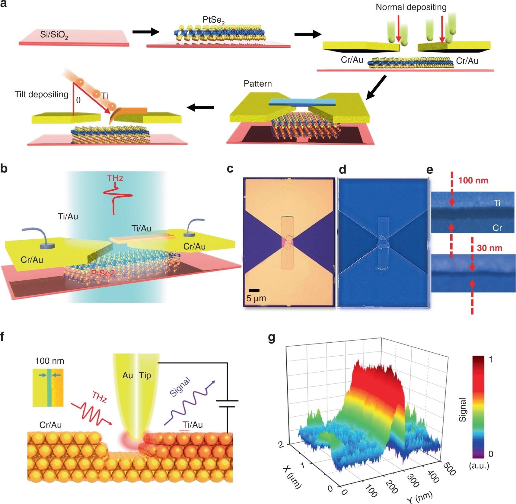 The nanogap slit fabrication technology and s-SNOM. (a) The nanogap slit device fabrication process, including PtSe2 fabrication, ultraviolet lithography, lift-off processes, and tilt deposition. (b) Schematic of the bow-tie antenna-assisted device. (c–e) Optical microscopy and false-color SEM images of the PtSe2 nanogap slit device with a typical channel length (100?nm and 30?nm). (f) The near-field images are taken around the slit area using broadband illumination. (g) Stereograph of the near-field signal.