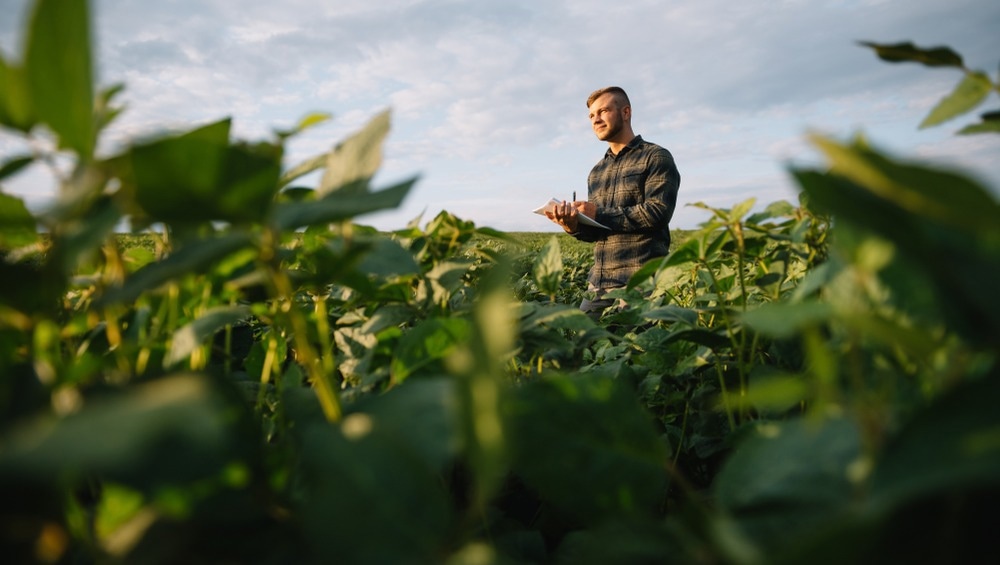 agriculture, optical sensors