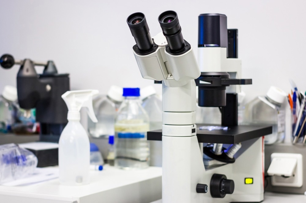 phase contrast microscopy