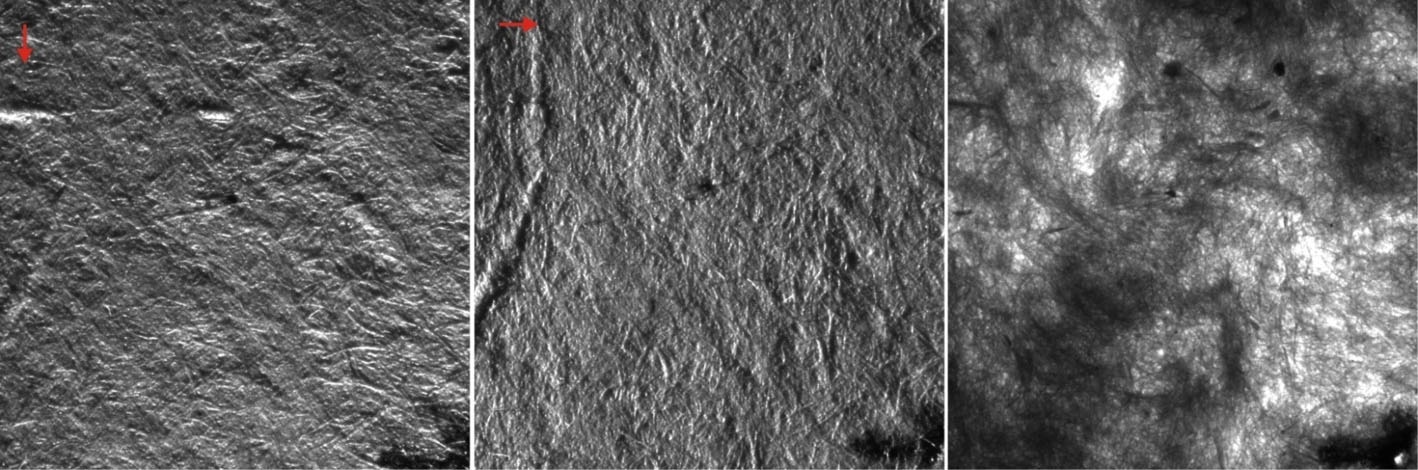 Surface topography of paper web imaged at 20 fps.