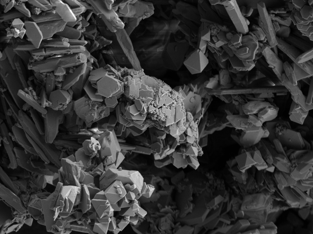 quantum microscopy, quantum imaging, sensing and imaging, microscopy