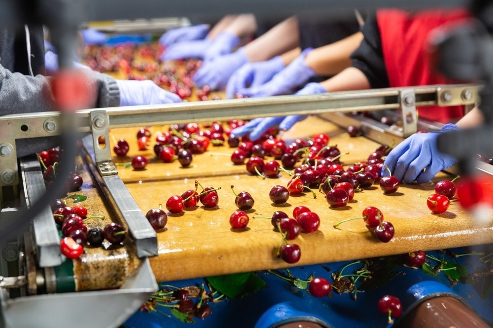Food Sorting, Hyperspectral Imaging, Hyperspectral Imaging for Food Sorting