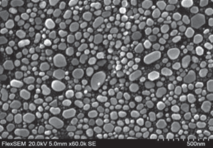 Gold grains on carbon substrate. Accelerating voltage 20kV, magnification 60.000x.