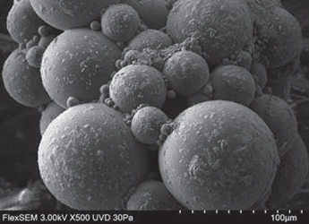 Super-absorbent polymer. No metal coating applied. Low-vacuum mode 30Pa, SE signal (UVD).