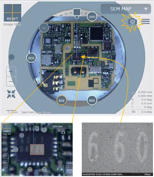 Beyond Optical Stereo Microscopy