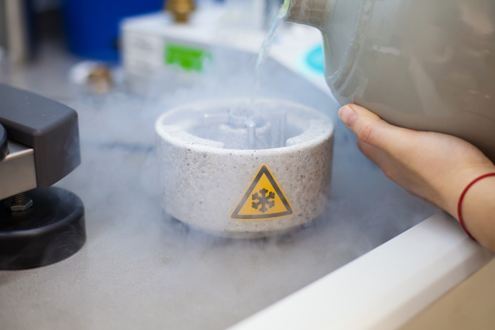 Exploring Advancements in Cryo-Electron Microscopy for Single-Particle Analysis