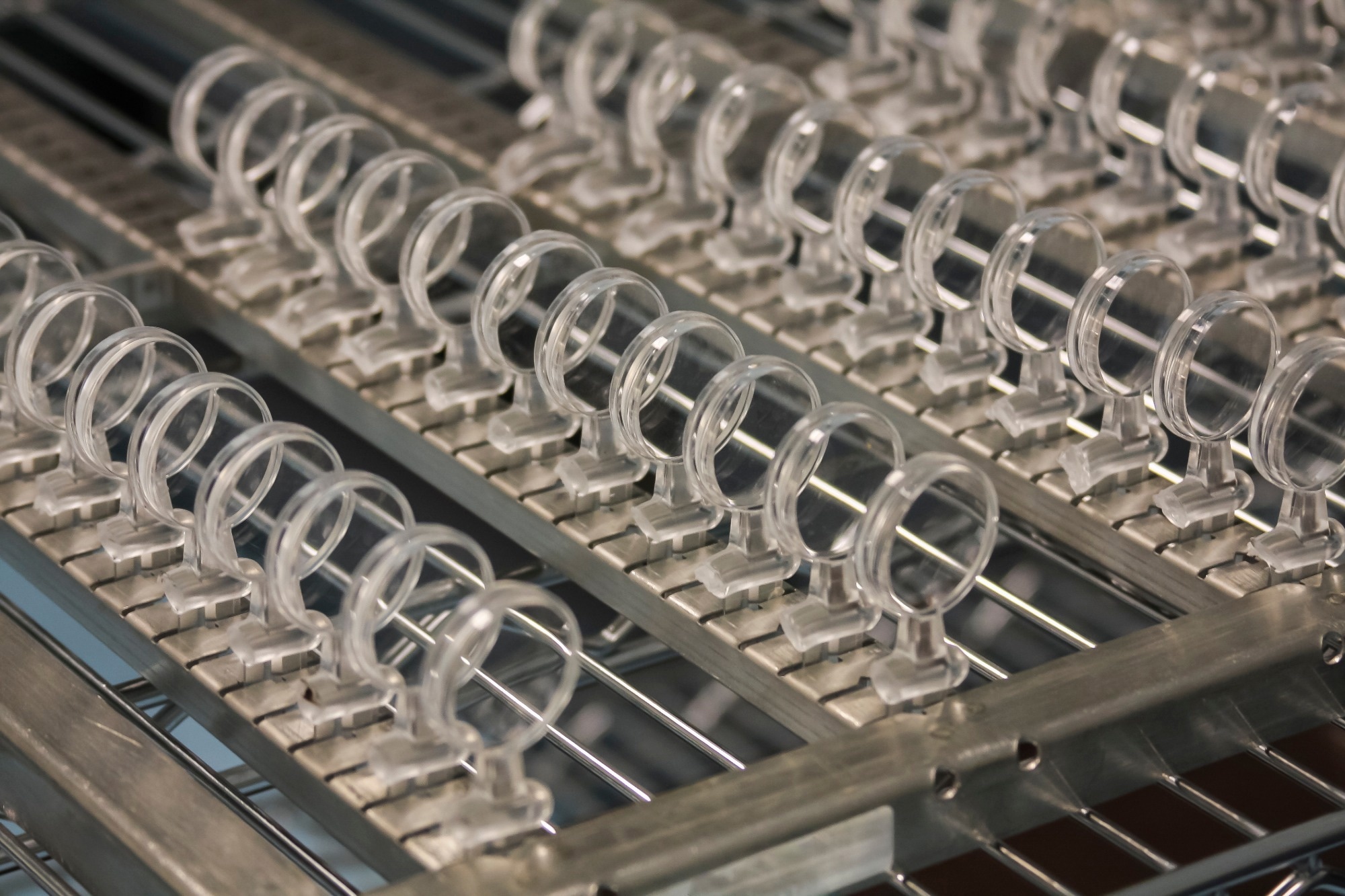 Rows of Plastic Lenses in a Manufacturing Plant